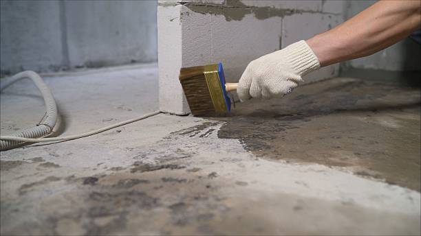 Top rated local Waterproofing specialists in Blue Rock, OH